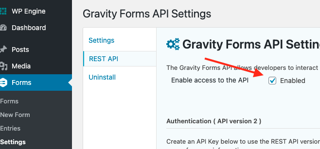 screenshot of setting gravity forms rest api